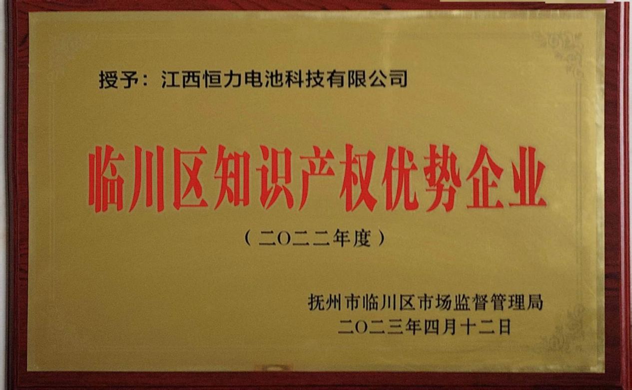 2023年知识产权优势企业