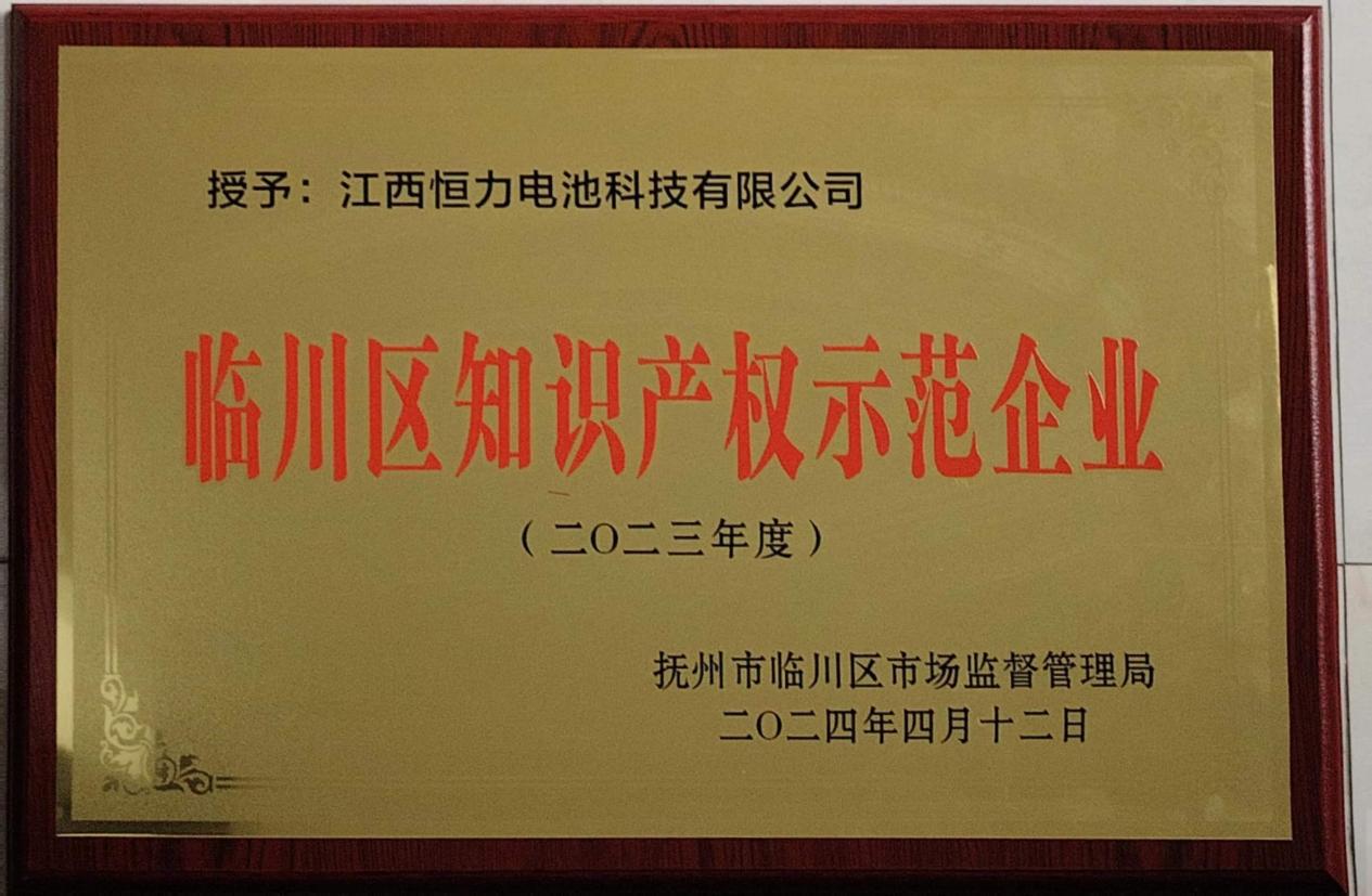 2024年知识产权示范企业