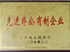 先进非公有制企业