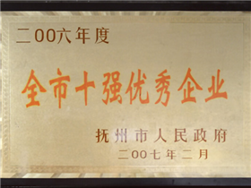 全市十强优秀企业