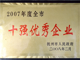 十强优秀企业